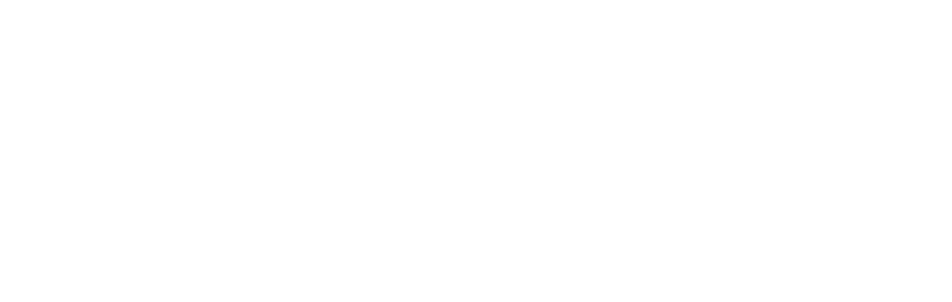 Et billede af Realise Danmark ApS logo.